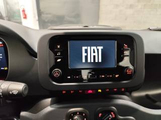 FIAT Panda usata 14