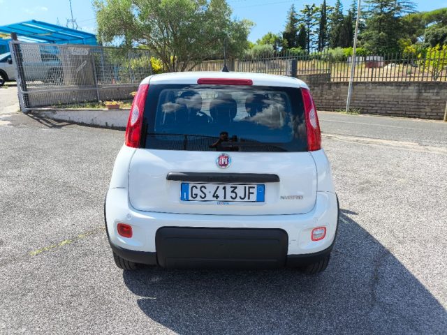 FIAT Panda usata 4