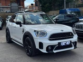 MINI Countryman usata, con Airbag laterali