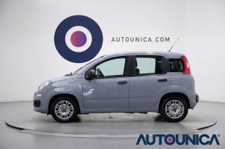 FIAT Panda usata, con Airbag testa