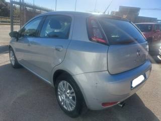 FIAT Punto usata 6