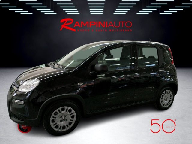 FIAT Panda usata 9