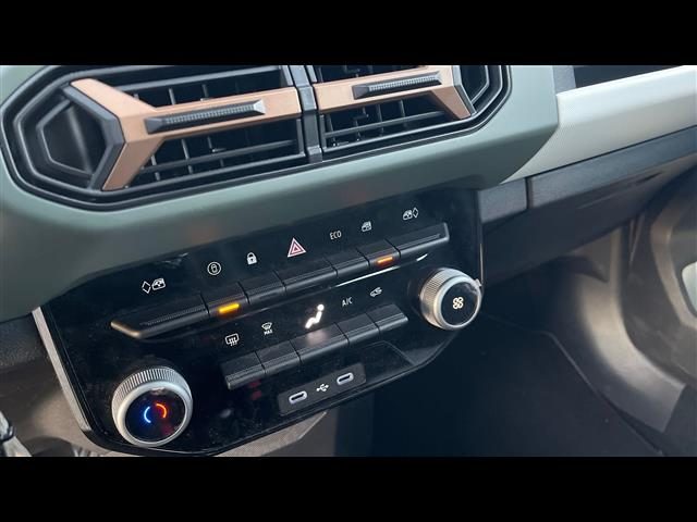 DACIA Spring usata 14