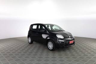 FIAT Panda usata 1