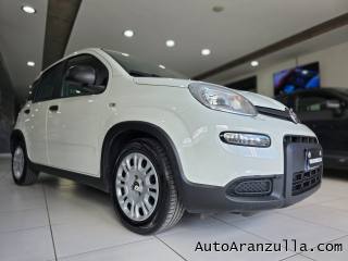 FIAT Panda usata, con Sensore di luce