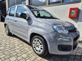 FIAT Panda Panda 1.0 firefly hybrid s