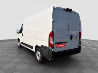 FIAT Ducato usata 2