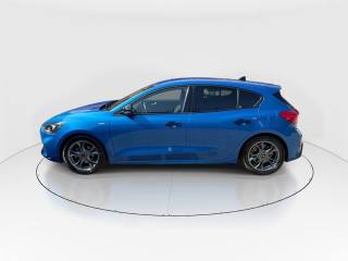 FORD Focus usata, con Fendinebbia