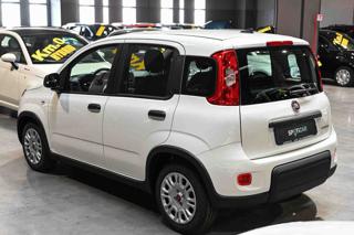 FIAT Panda usata, con Chiusura centralizzata