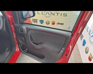 FIAT New Panda usata 24