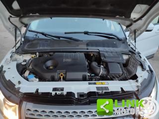 LAND ROVER Range Rover Evoque usata 25