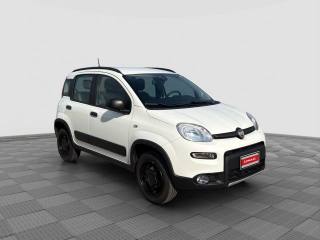 FIAT Panda usata 6