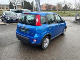 FIAT Panda usata 16