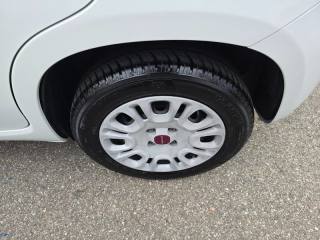 FIAT Panda usata, con Autoradio