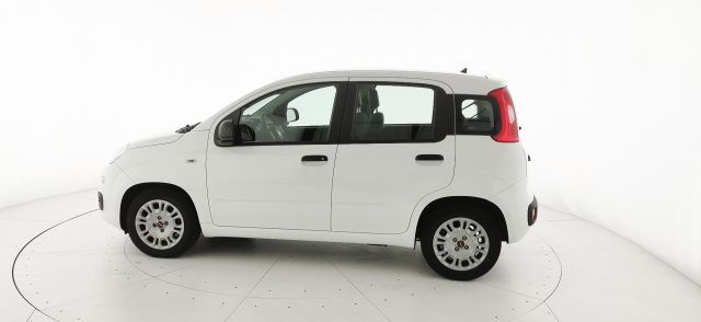 FIAT Panda usata 44