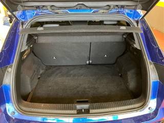 RENAULT Austral usata 27