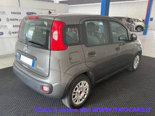 FIAT Panda usata, con Alzacristalli elettrici