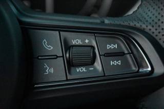 ALFA ROMEO Stelvio usata, con Controllo elettronico della corsia