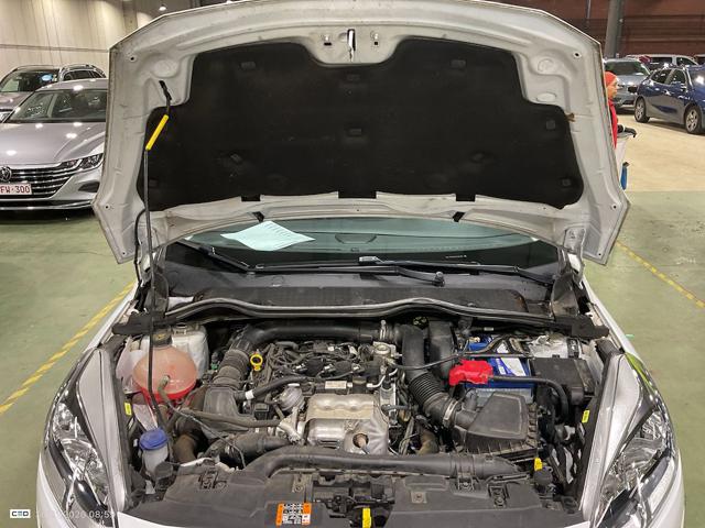 FORD Fiesta usata, con Fendinebbia