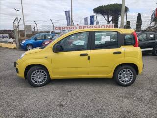 FIAT Panda usata, con Antifurto