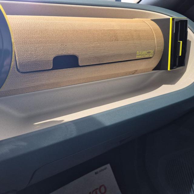 FIAT Grande Panda usata, con ESP