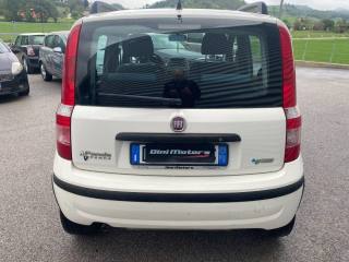 FIAT Panda usata, con Immobilizzatore elettronico