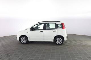 FIAT Panda usata 5