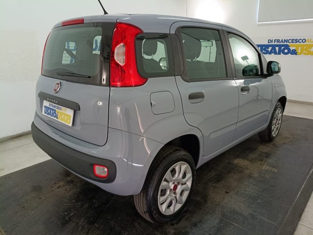 FIAT Panda usata, con Chiusura centralizzata