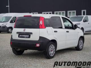 FIAT Panda usata, con Airbag Passeggero