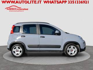 FIAT Panda usata, con Antifurto