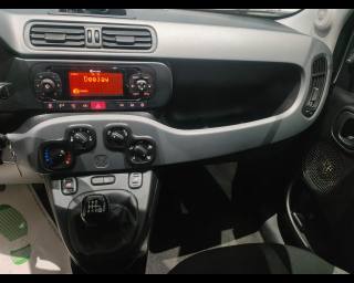 FIAT New Panda usata, con Portapacchi