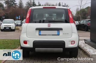 FIAT Panda usata 3