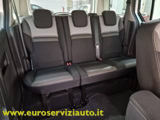RENAULT Kangoo usata 42