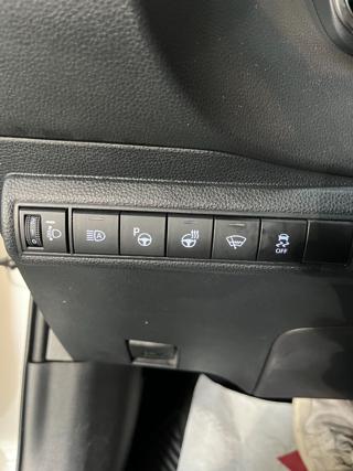 SUZUKI Swace usata 8