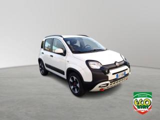 FIAT Panda Cross usata, con Airbag Passeggero