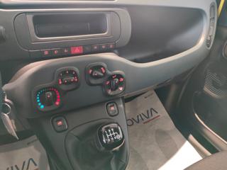 FIAT Panda usata, con Airbag testa