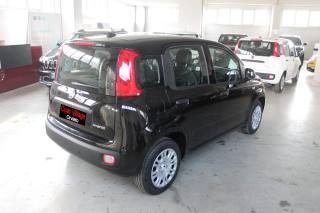 FIAT Panda usata, con Alzacristalli elettrici