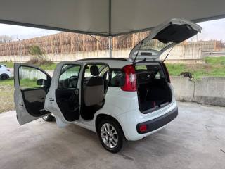 FIAT Panda usata 43