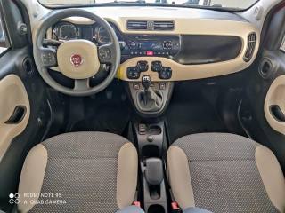 FIAT Panda usata, con Fendinebbia