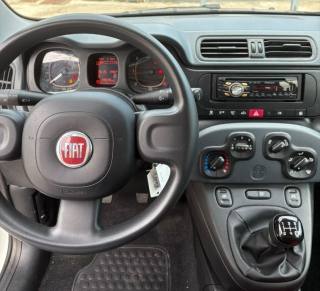 FIAT Panda usata 13