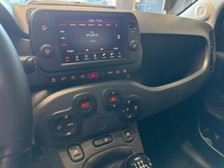 FIAT Panda usata, con Cronologia tagliandi