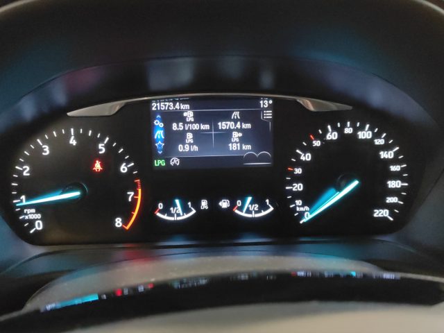 FORD Fiesta usata 14