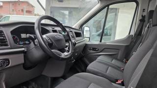 FORD Transit usata, con Fendinebbia