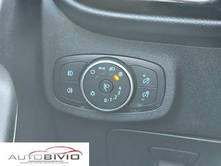 FORD Fiesta usata, con Bracciolo