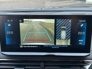 PEUGEOT 5008 usata, con Airbag testa