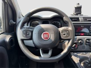 FIAT Panda usata 12