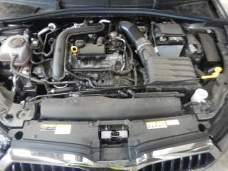 SKODA Fabia usata, con Cruise Control