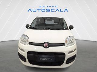 FIAT New Panda usata, con Airbag