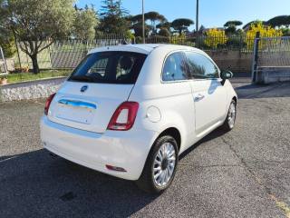 FIAT 500 usata 3