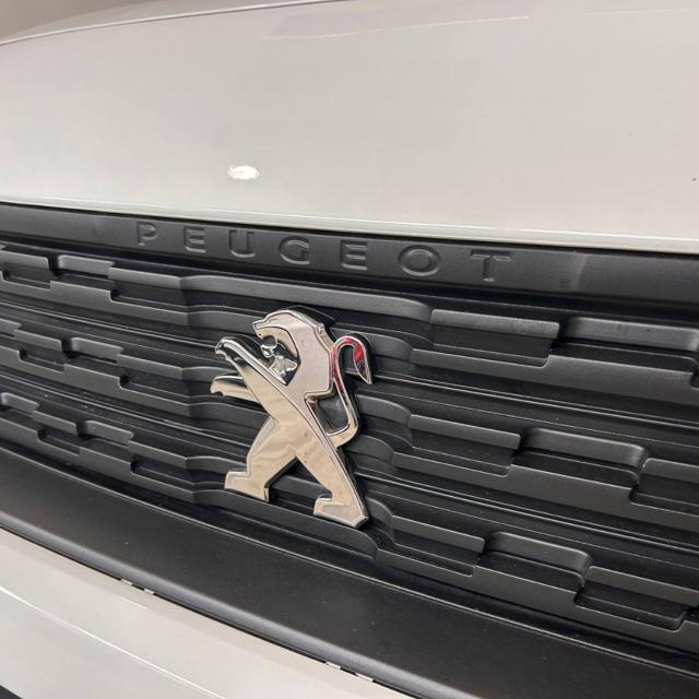 PEUGEOT Partner usata, con Sensore di pioggia